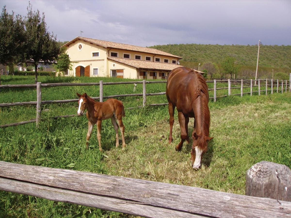 Agriturismo Potrero Grande Campagnano Di Roma Esterno foto